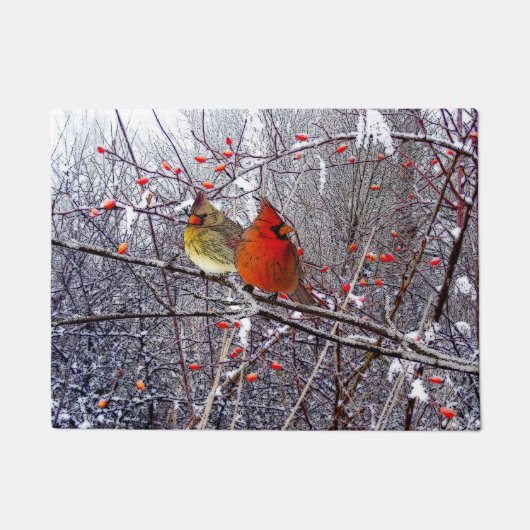 Kardinaal kerstdeurmat deurmat (Voorkant)