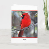 Kardinaal kerstfeest feestdagen kaart (Achterkant)