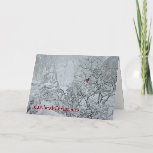 Kardinaal kerstfeest feestdagen kaart (Voorkant)