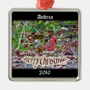 Kardinaal kerstversiering om te personaliseren metalen ornament