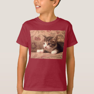 Kardinaal Kitten Kinder Shirt