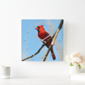 Kardinaal klok door Julie Everhart (Huis)