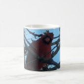 Kardinaal Koffiemok (Center)