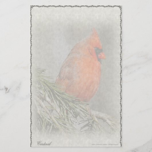 Kardinaal Maatwerk Papier (Voorkant)