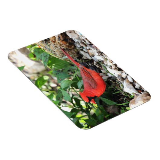 Kardinaal Magneet (Rechterzijde)