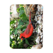 Kardinaal Magneet (Verticaal)