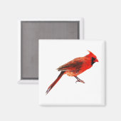 Kardinaal Magneet (Voorkant / Achterkant)