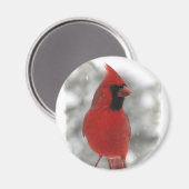 Kardinaal Magneet (Voorkant / Achterkant)
