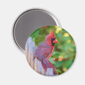 Kardinaal Magneet (Voorkant / Achterkant)