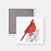 Kardinaal Magneet (Voorkant / Achterkant)