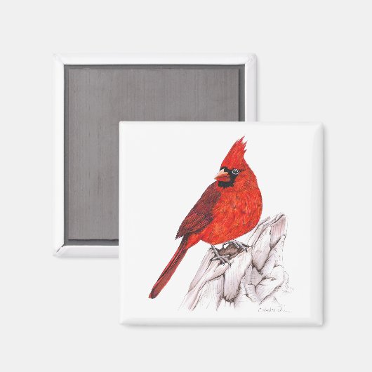 Kardinaal Magneet (Voorkant / Achterkant)
