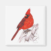 Kardinaal Magneet (Voorkant)