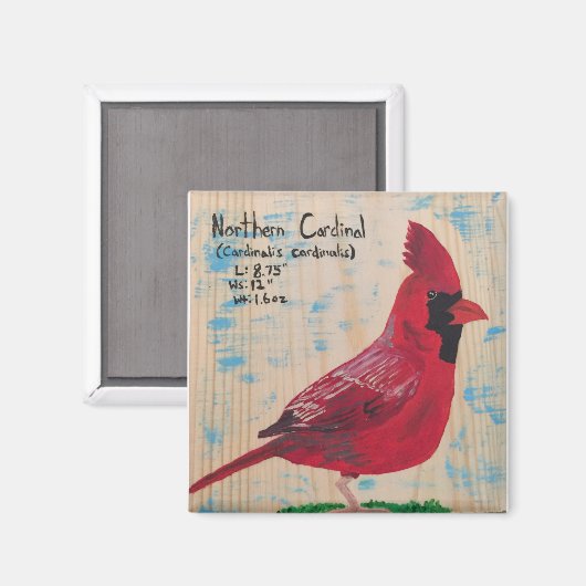 Kardinaal Magnet (Voorkant / Achterkant)