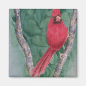 Kardinaal Magnet (Voorkant)