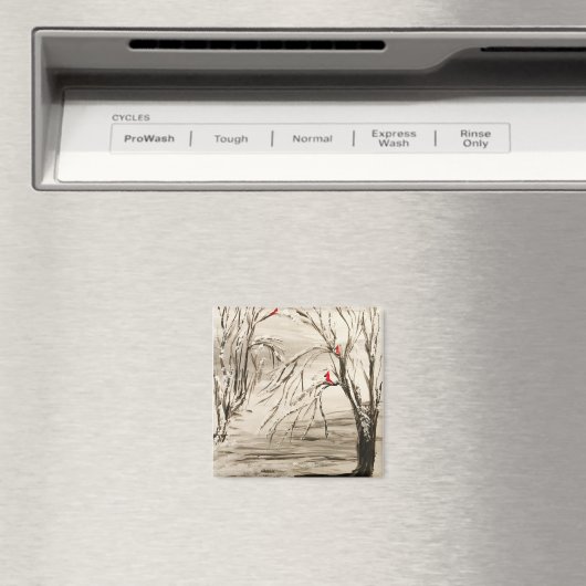 Kardinaal Magnet (Insitu (Vaatwasser))