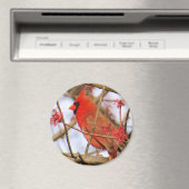 Kardinaal Magnet (Insitu (Vaatwasser))