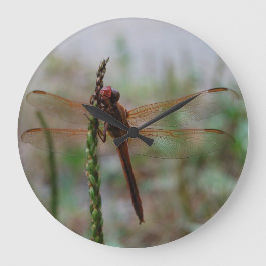 Kardinaal Meadowhawk Dragonfly Grote Klok (Voorkant)