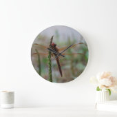 Kardinaal Meadowhawk Dragonfly Grote Klok (Huis)