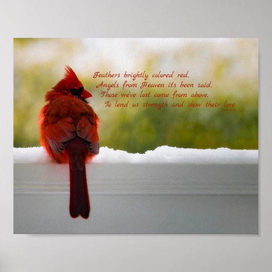 Kardinaal met bezoeker van hemelgedicht 10x8 poster (Voorkant)