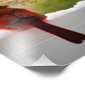 Kardinaal met bezoeker van hemelgedicht 8x10 foto afdruk (Hoek)