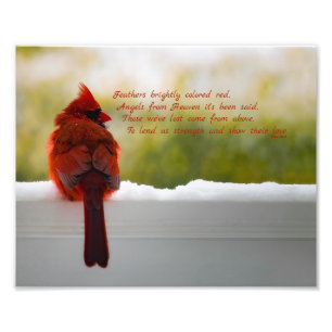 Kardinaal met bezoeker van hemelgedicht 8x10 foto afdruk