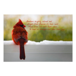 Kardinaal met bezoeker van het hemelgedicht 19x13 foto afdruk