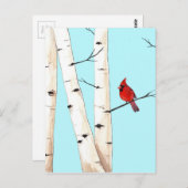 Kardinaal met Birch Trees Briefkaart (Voorkant / Achterkant)