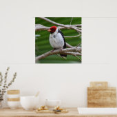 Kardinaal met geelbruin in een boom poster (Keuken)