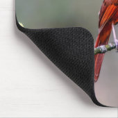 Kardinaal Mousepad Muismat (Hoek)