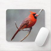 Kardinaal Mousepad Muismat (Met muis)