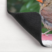 Kardinaal Muismat (Hoek)