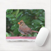 Kardinaal Muismat (Met muis)