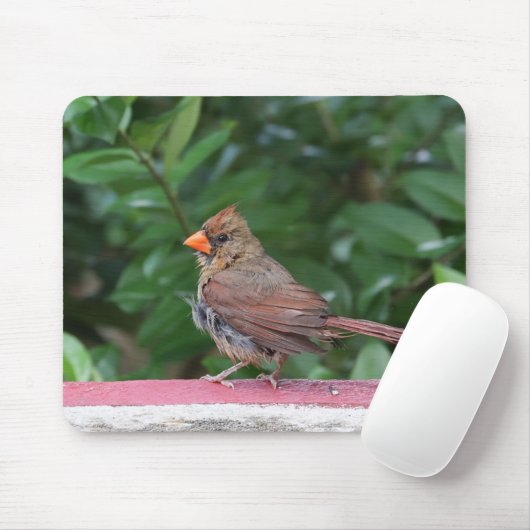 Kardinaal Muismat (Met muis)