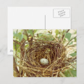 Kardinaal Nest Briefkaart (Voorkant / Achterkant)