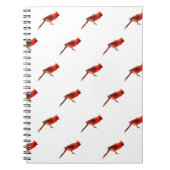 Kardinaal Notitieboek (Voorkant)