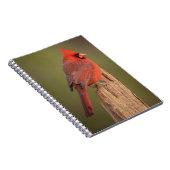 Kardinaal notitieboek (Rechterzijde)