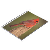 Kardinaal notitieboek (Linkerzijde)