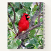 Kardinaal Notitieboek, 8,5 x 11 + Notitieboek (Achterkant)