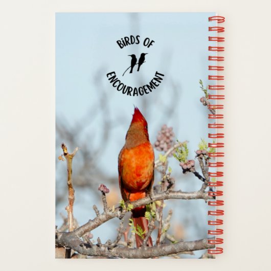 Kardinaal notitieboek voor journalistiek en notiti (Achterkant)