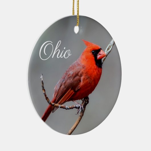 Kardinaal Ohio Ornament (Rechts)