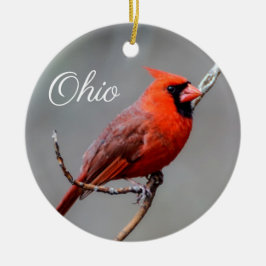 Kardinaal Ohio Ornament