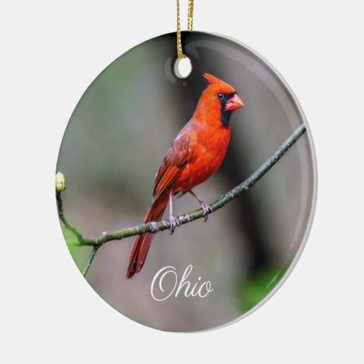 Kardinaal Ohio Ornament (Links)