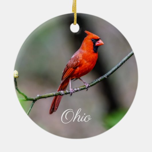 Kardinaal Ohio Ornament (Achterkant)