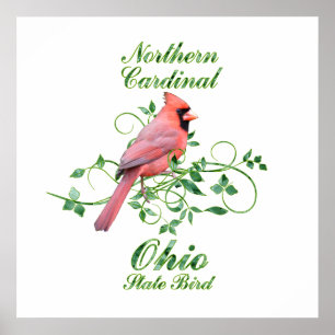 Kardinaal Ohio State Bird Poster