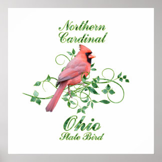 Kardinaal Ohio State Bird Poster