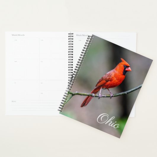 Kardinaal Ohio Weekly/Maandelijkse Planner (Display)