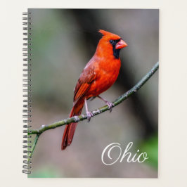 Kardinaal Ohio Weekly/Maandelijkse Planner