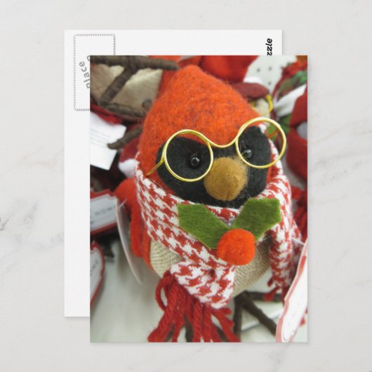 Kardinaal oorglas briefkaart (Voorkant / Achterkant)