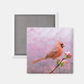 Kardinaal op bloeiende boom magneet (Voorkant / Achterkant)