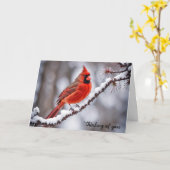 Kardinaal op de wintertak denken aan u kaart (Gele Bloem)